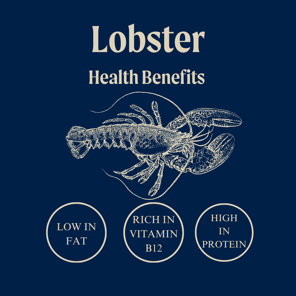 Cooked Wild British Lobster Meat