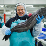 Whole Wild Black Cod (Sablefish) Fillet