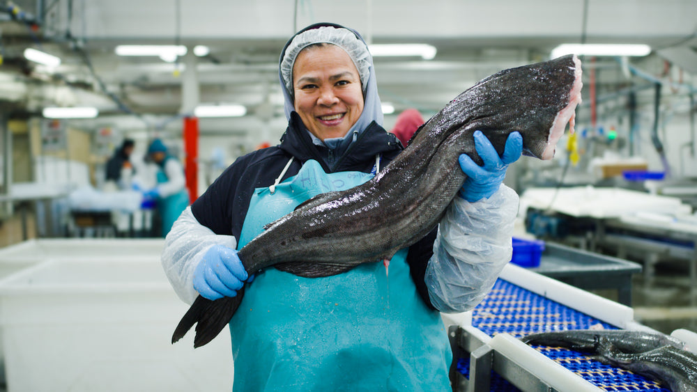 Whole Wild Black Cod (Sablefish) Fillet