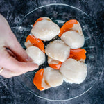 Dived king scallops