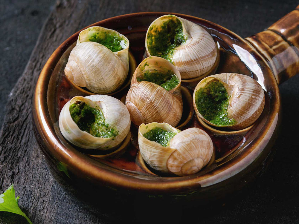 Escargots - snails in garlic butter