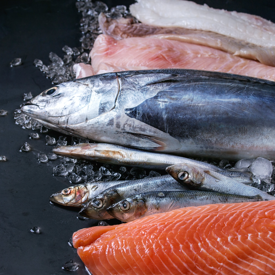 Everything Fish