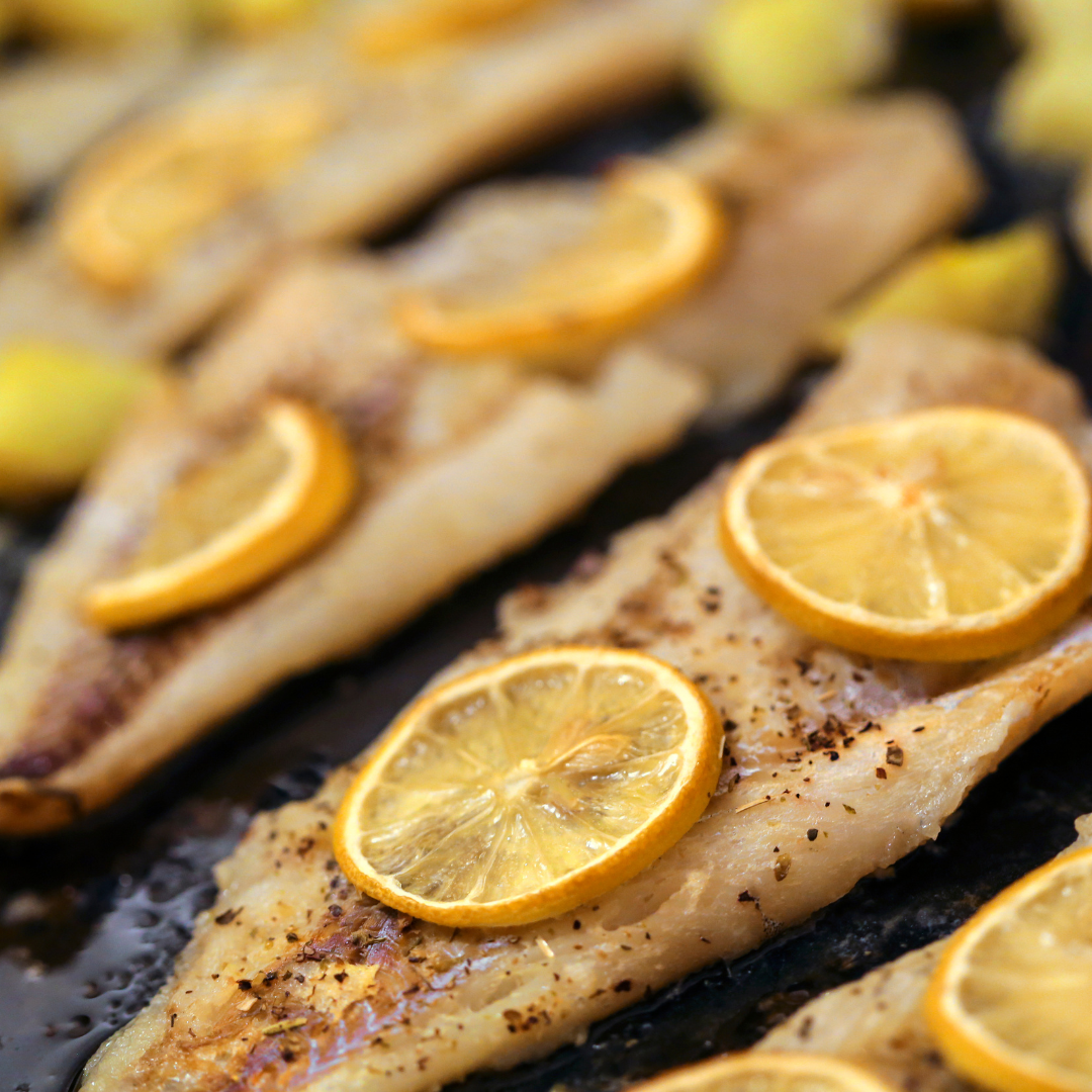 Hake Fish