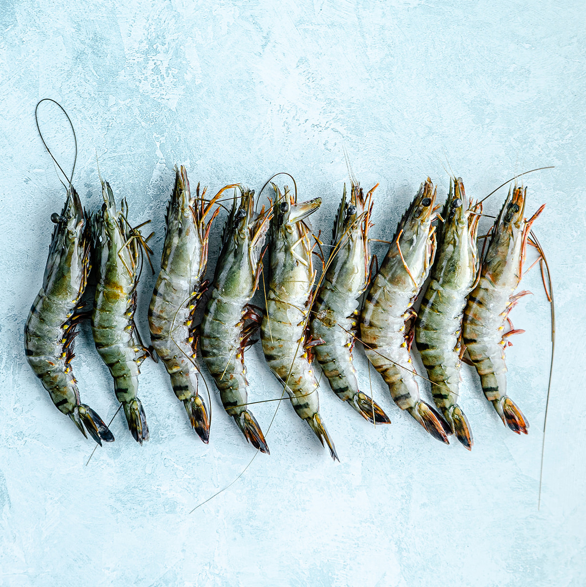 Proan Fish Buy Fish Online | A-Z | Next Day Delivery | The Fish Society