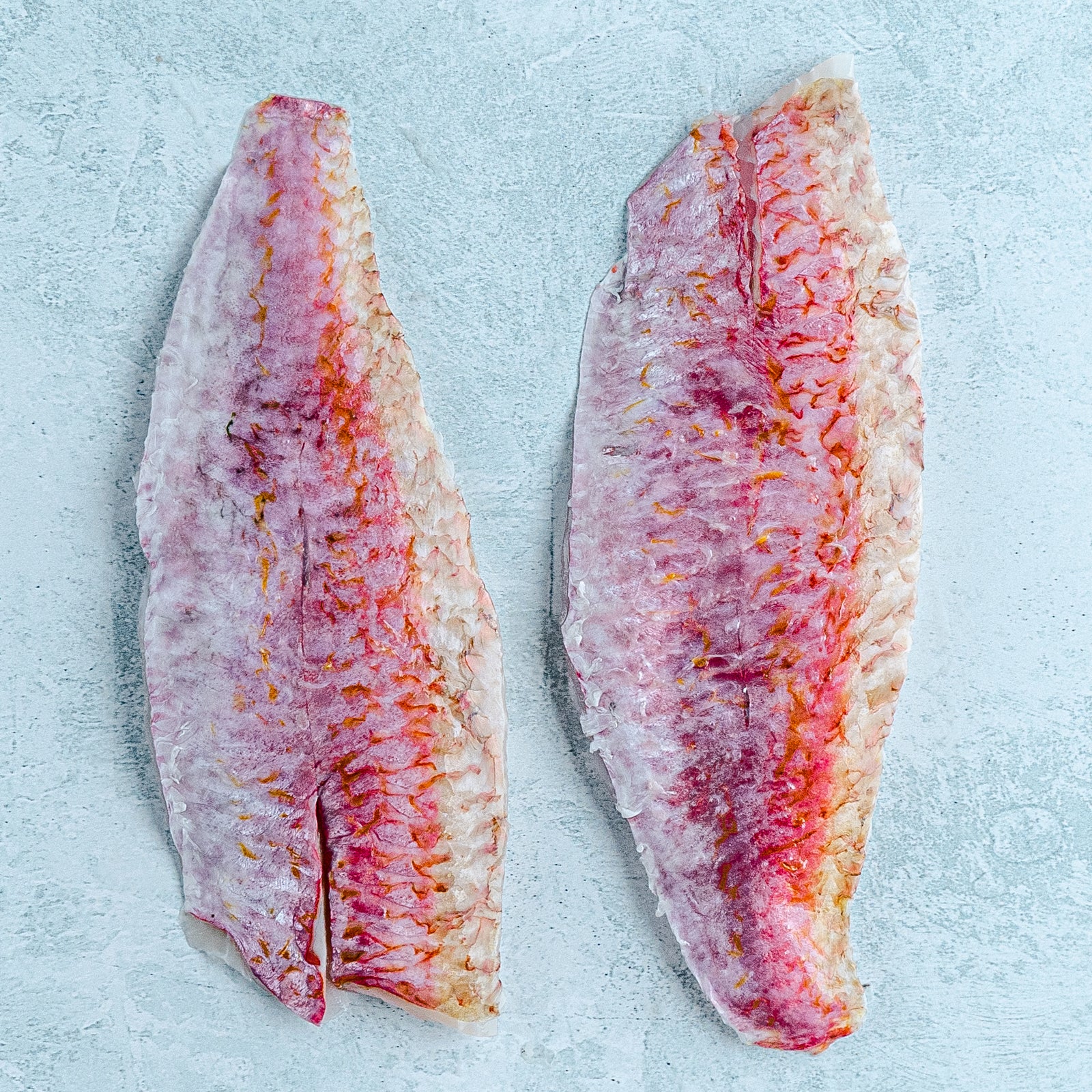 Red Mullet