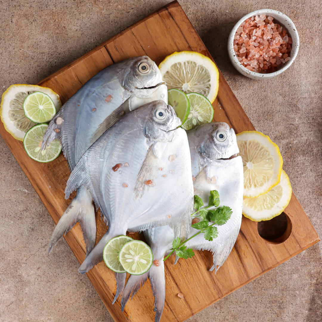Silver Pomfret