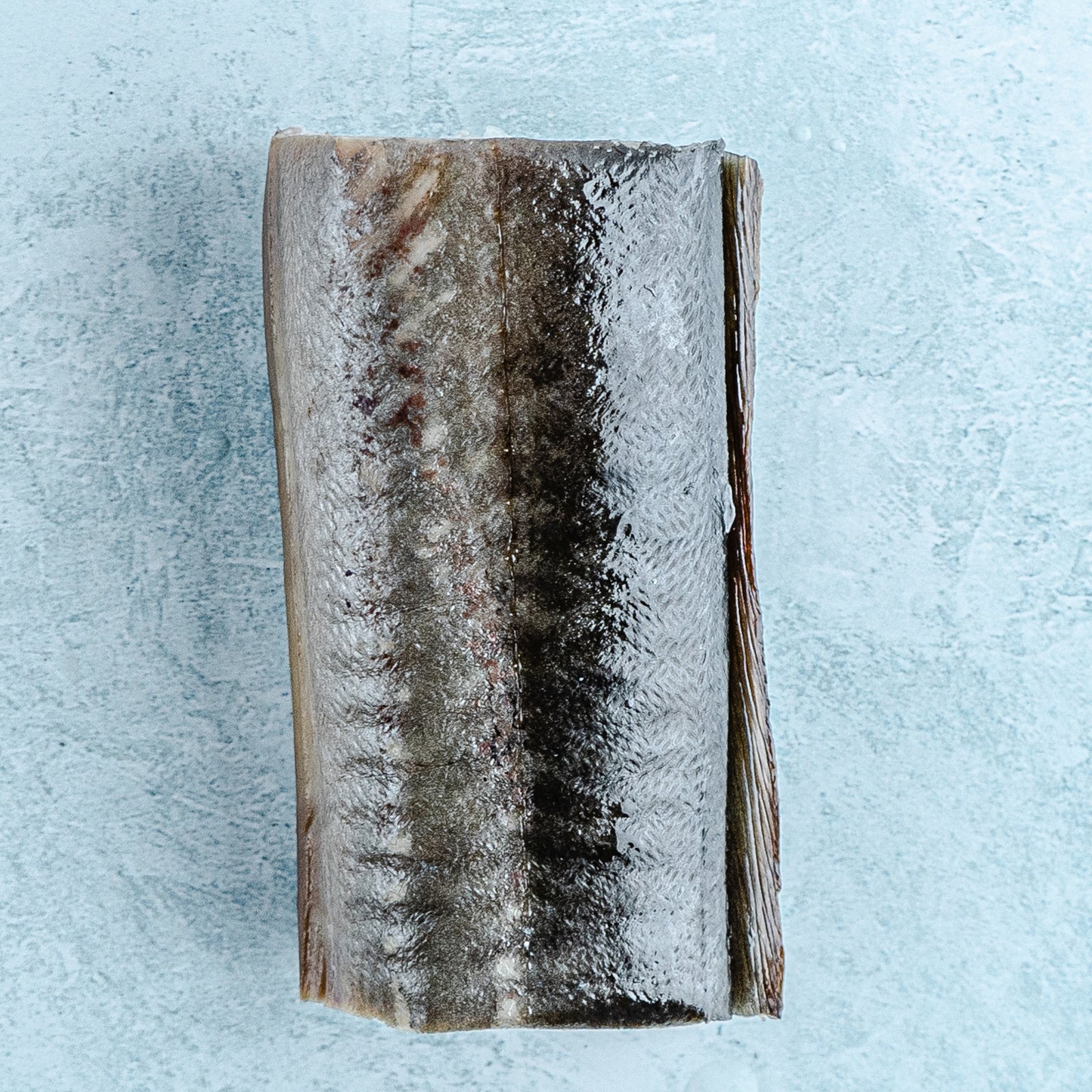Eel