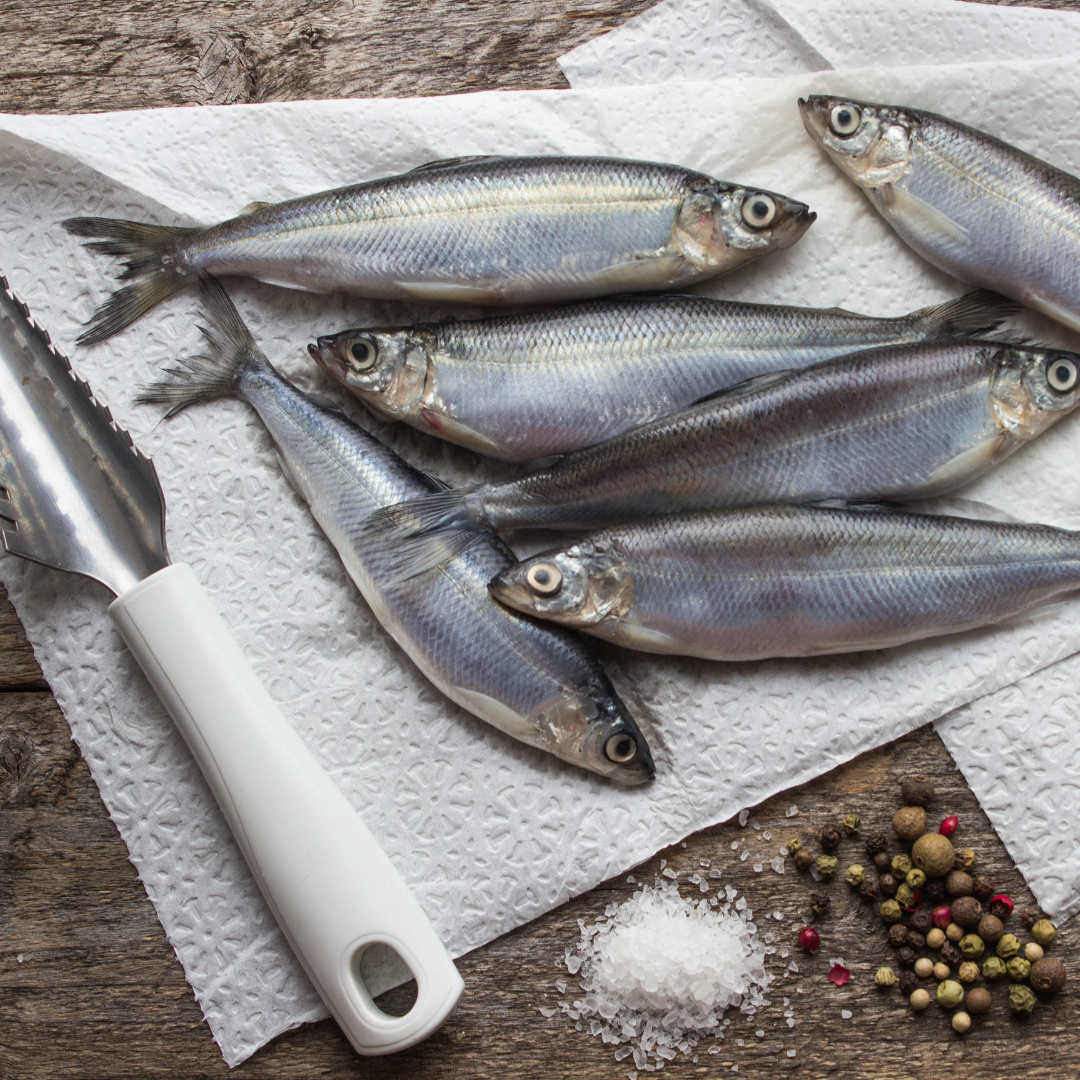 Vendace