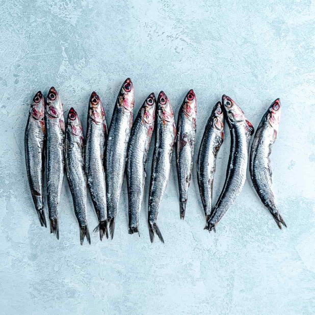Anchovies