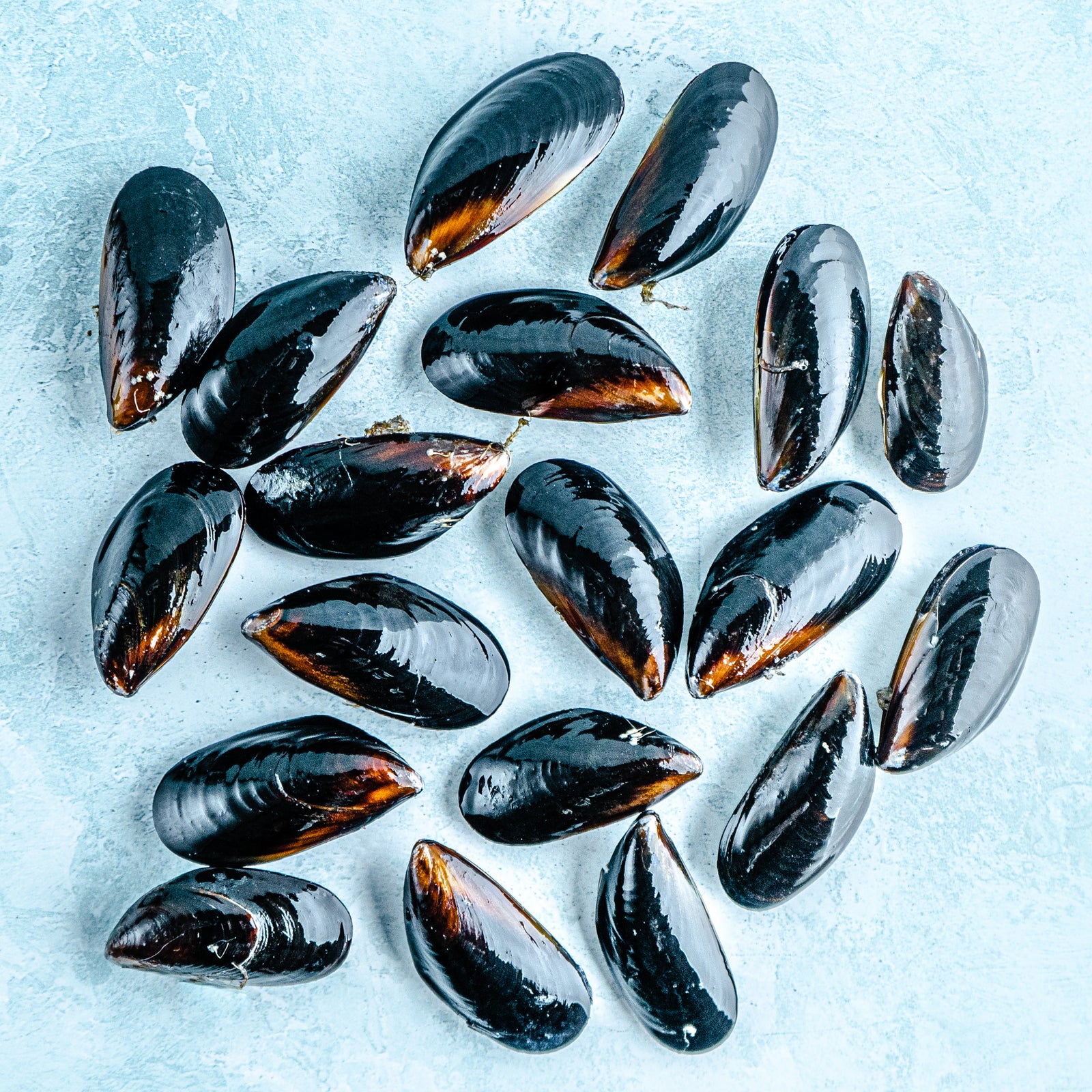 Mussels