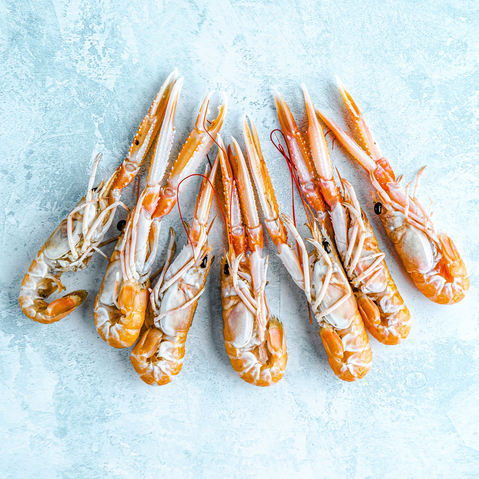 Langoustine