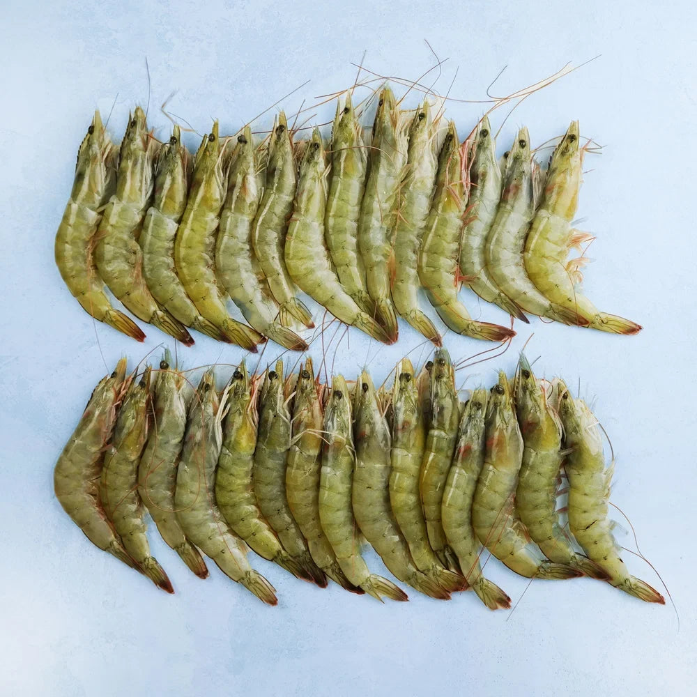 Specialty Prawns
