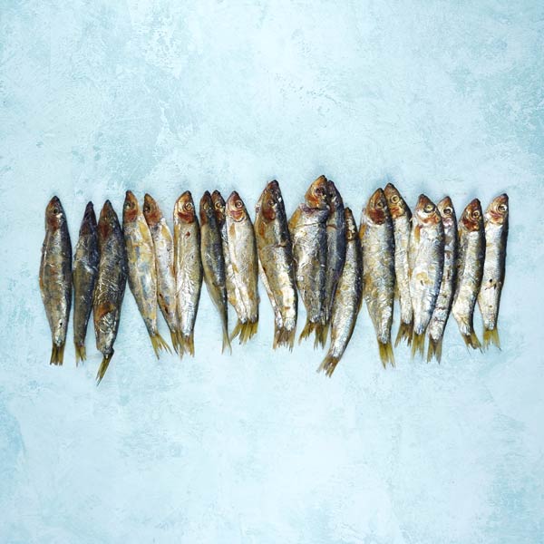 Sprats