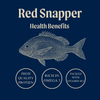 Wild Red Snapper Fillet Portions