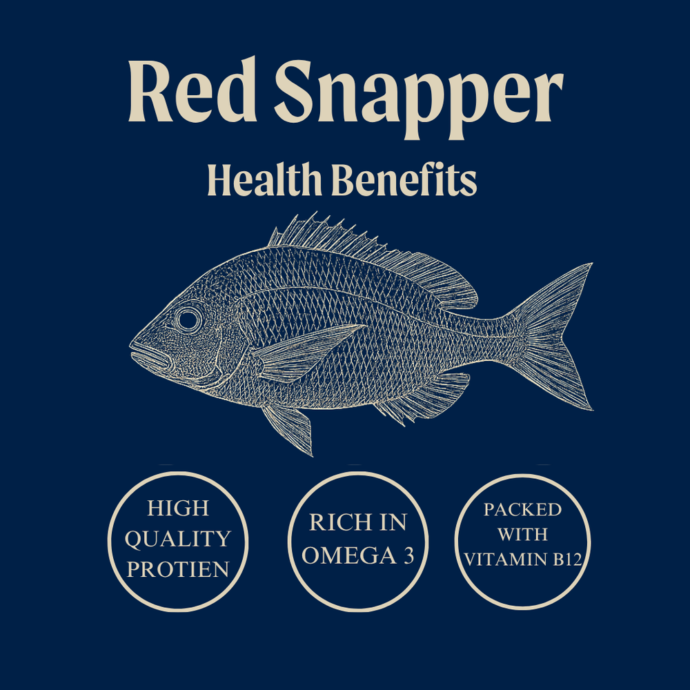 Wild Red Snapper Fillet Portions