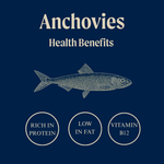 Whole Wild Atlantic Anchovies