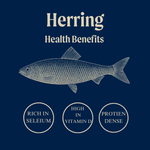 Marinated Herring Fillets