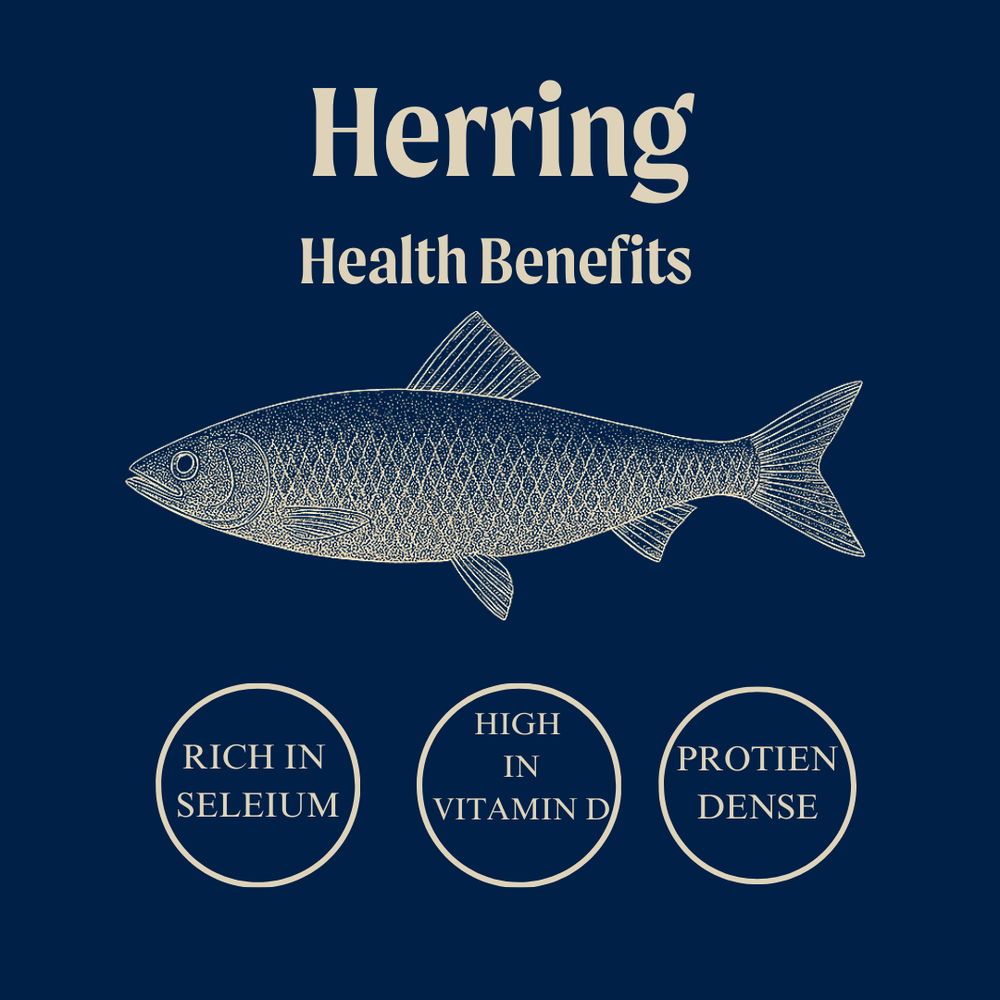 Marinated Herring Fillets