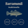 Barramundi fillets