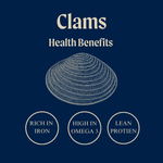 Wild White Meretrix Clams