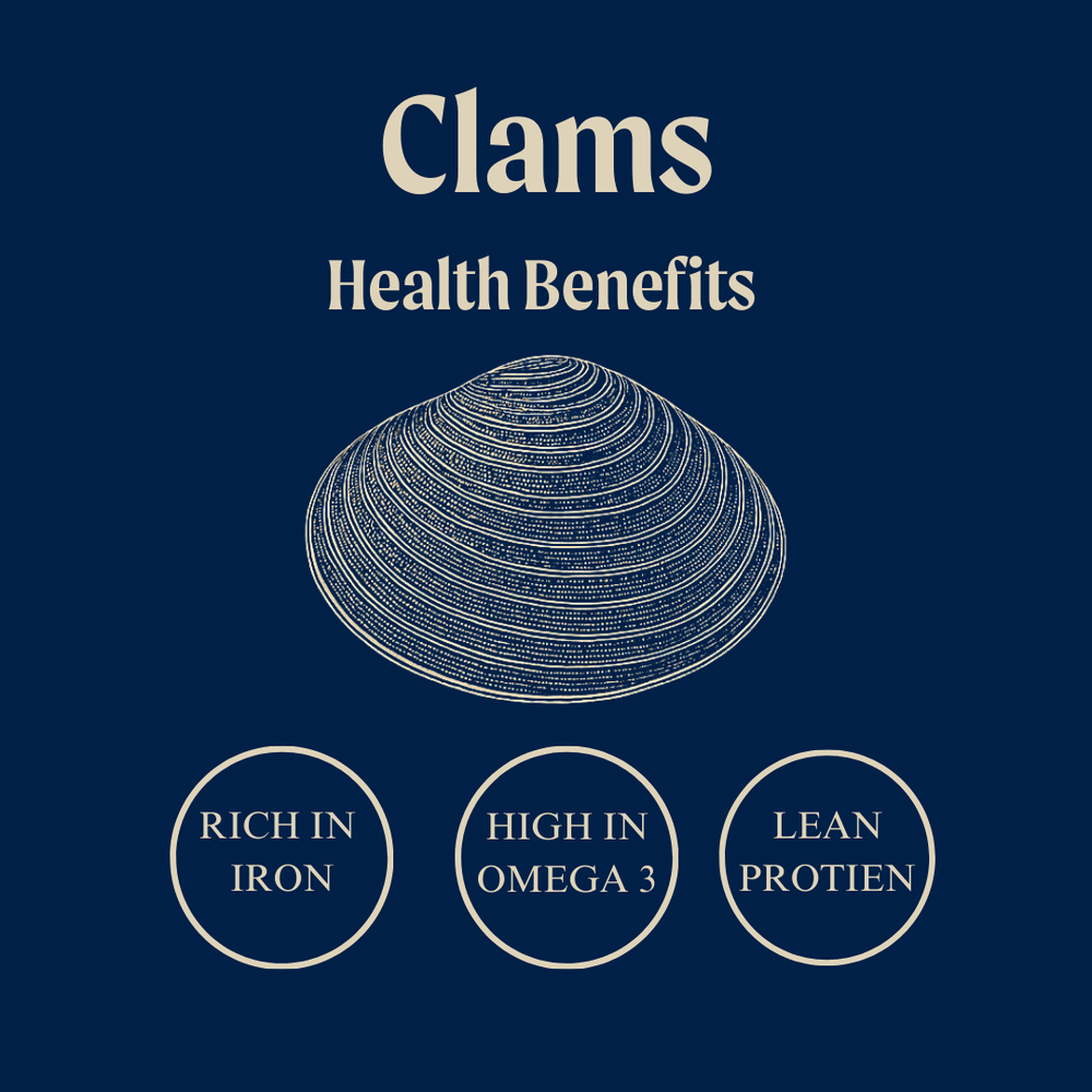 Wild White Meretrix Clams