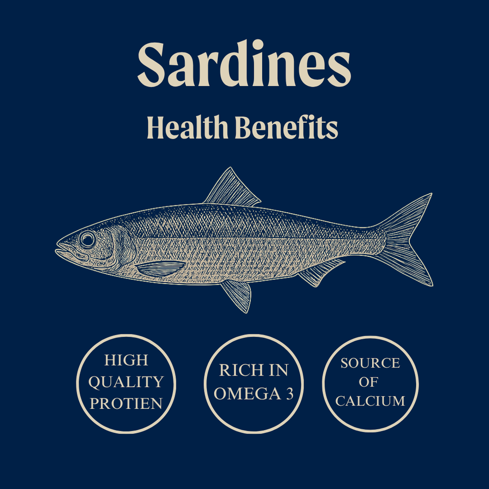 Whole Wild Atlantic Sardines