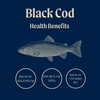 Wild Black Cod (Sablefish) Fillet Portions