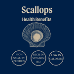 Wild Hand Dived King Scallops
