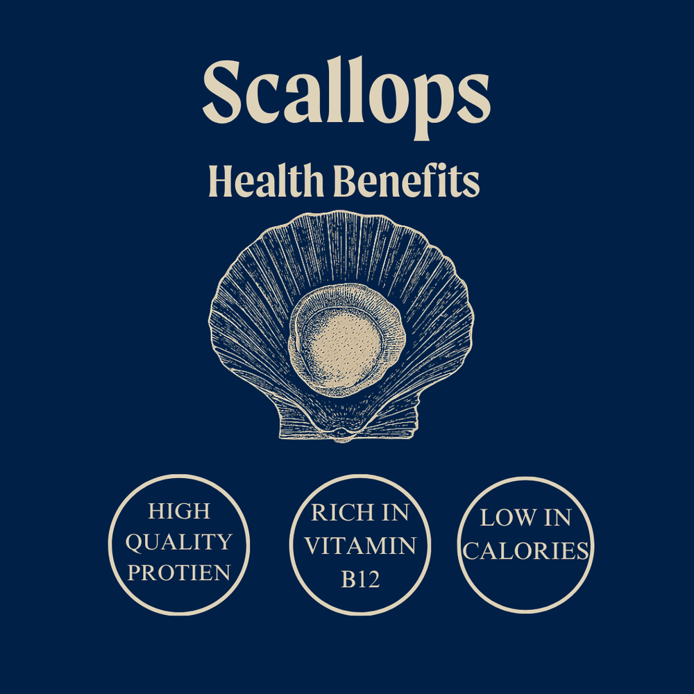 Wild Hand Dived King Scallops
