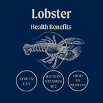 Wild Raw British Lobster