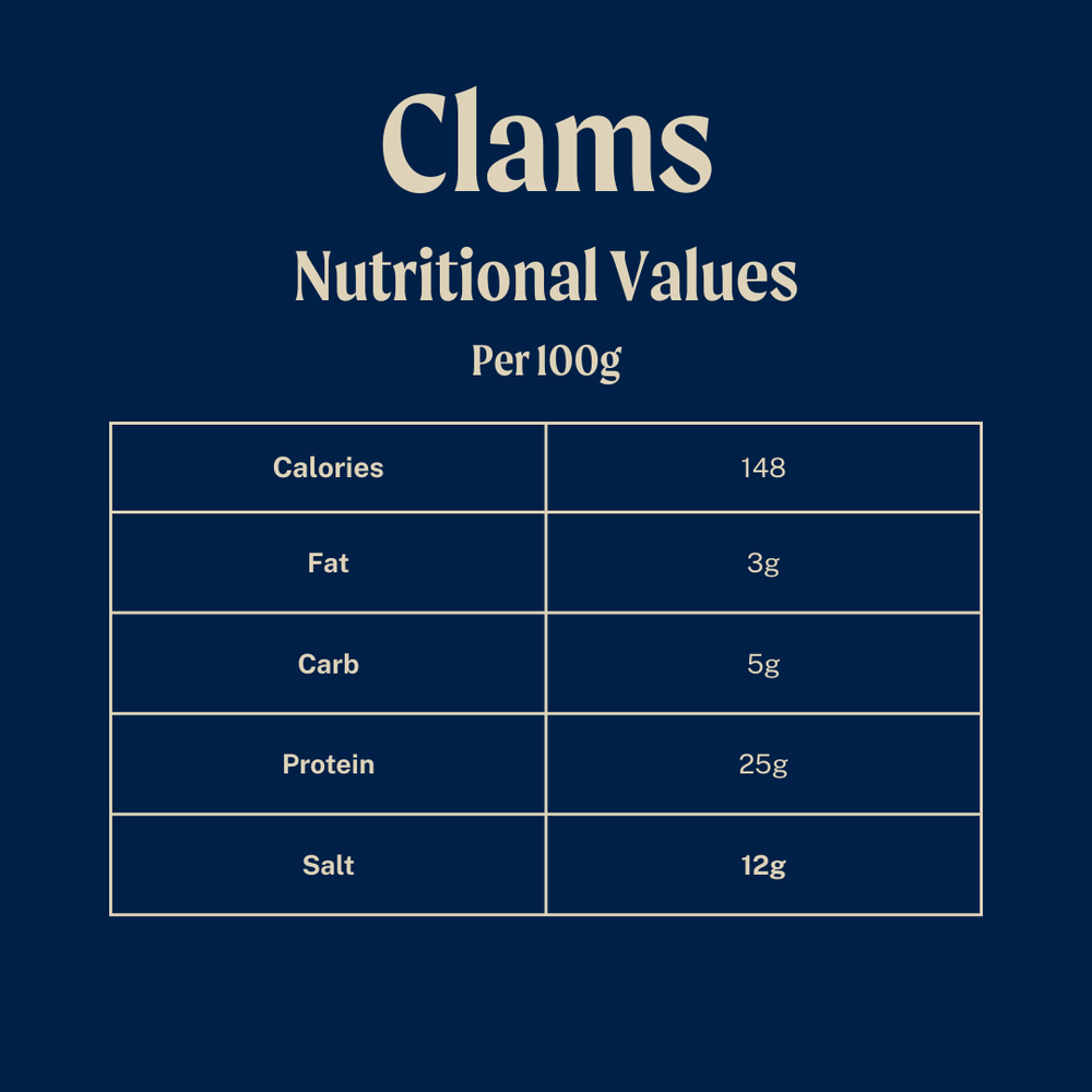 Wild White Meretrix Clams