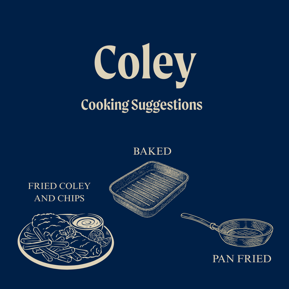 Wild Coley Fillet Portions - Skinless x 2