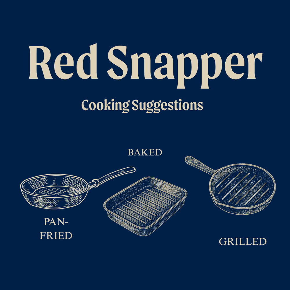 Wild Red Snapper Fillet Portions