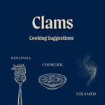 Wild White Meretrix Clams