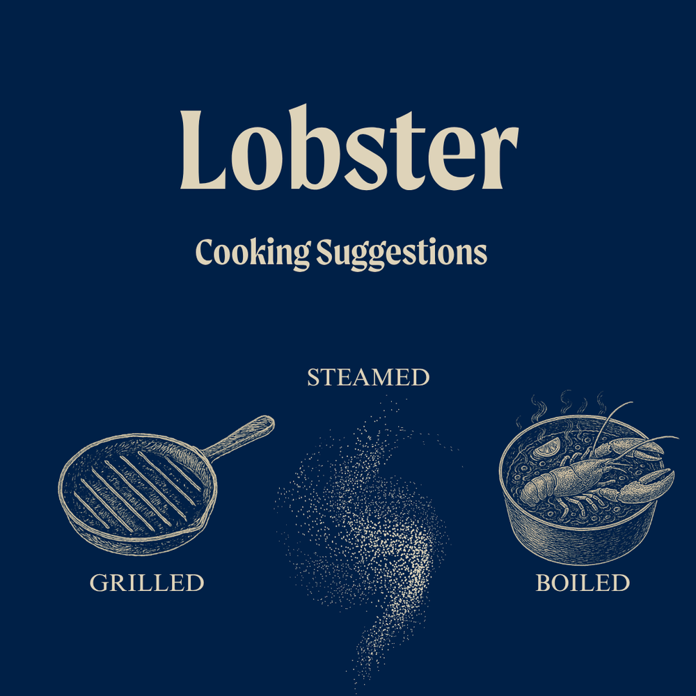Wild Raw British Lobster