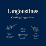 Wild Scottish Langoustines