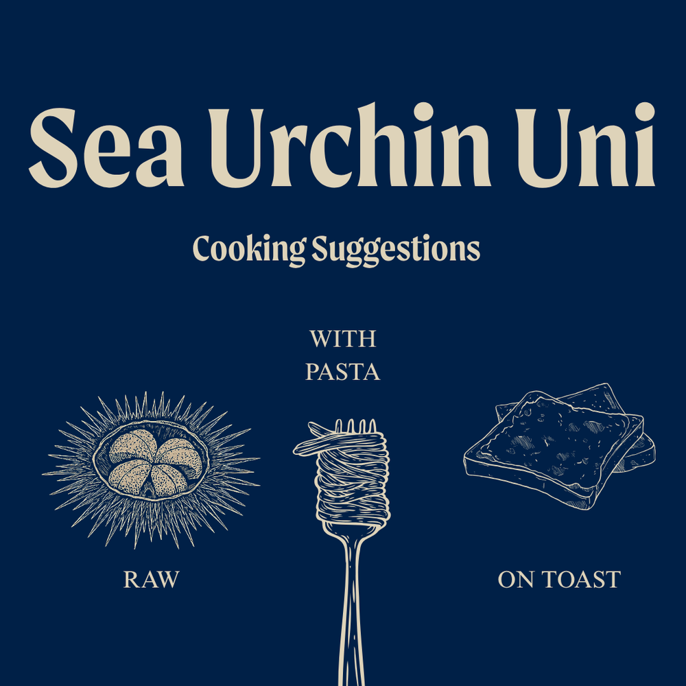 Uni - Sea Urchin Roe - Sashimi Grade