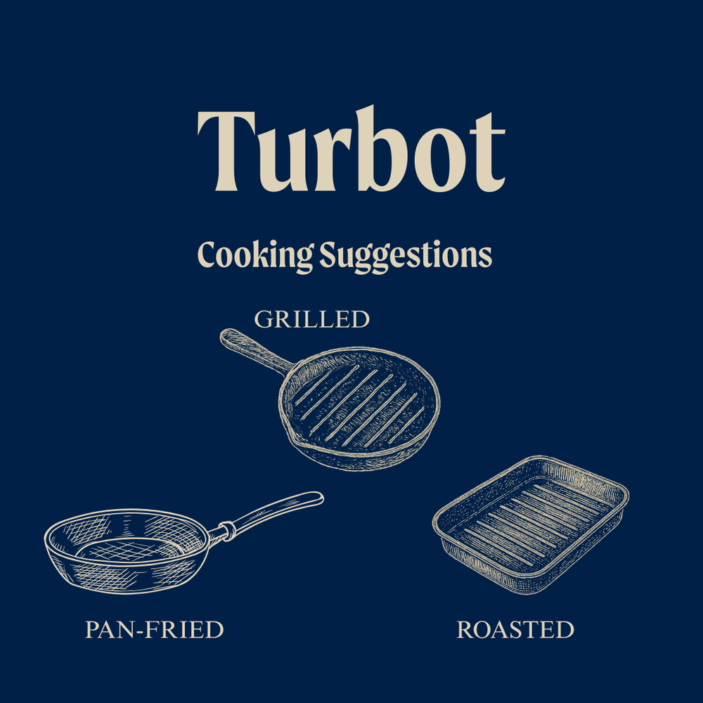 Wild British Turbot Fillet Steaks