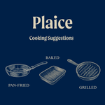 Wild British Plaice Fillets