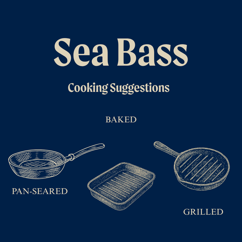 Wild British Sea Bass Fillet Portions