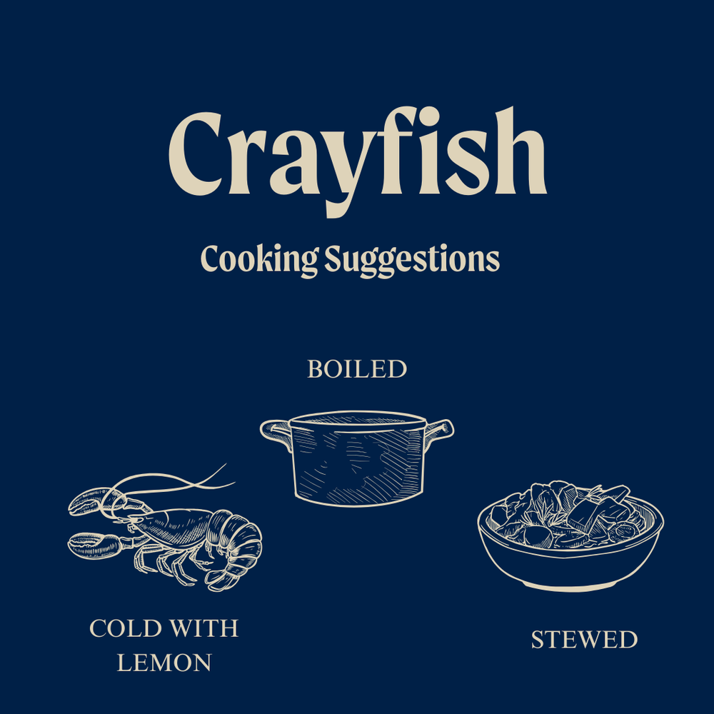 Spanish Crayfish in Dill Brine