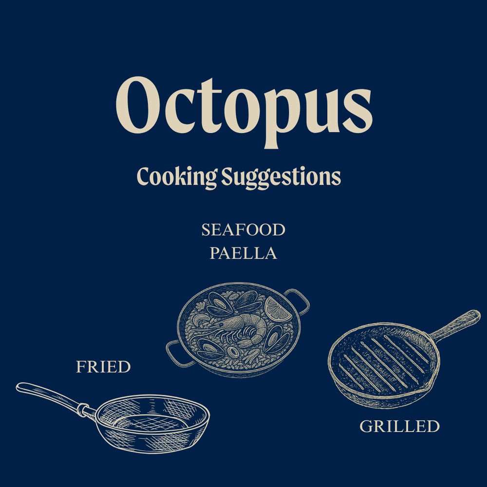 Whole Wild Octopus - Raw