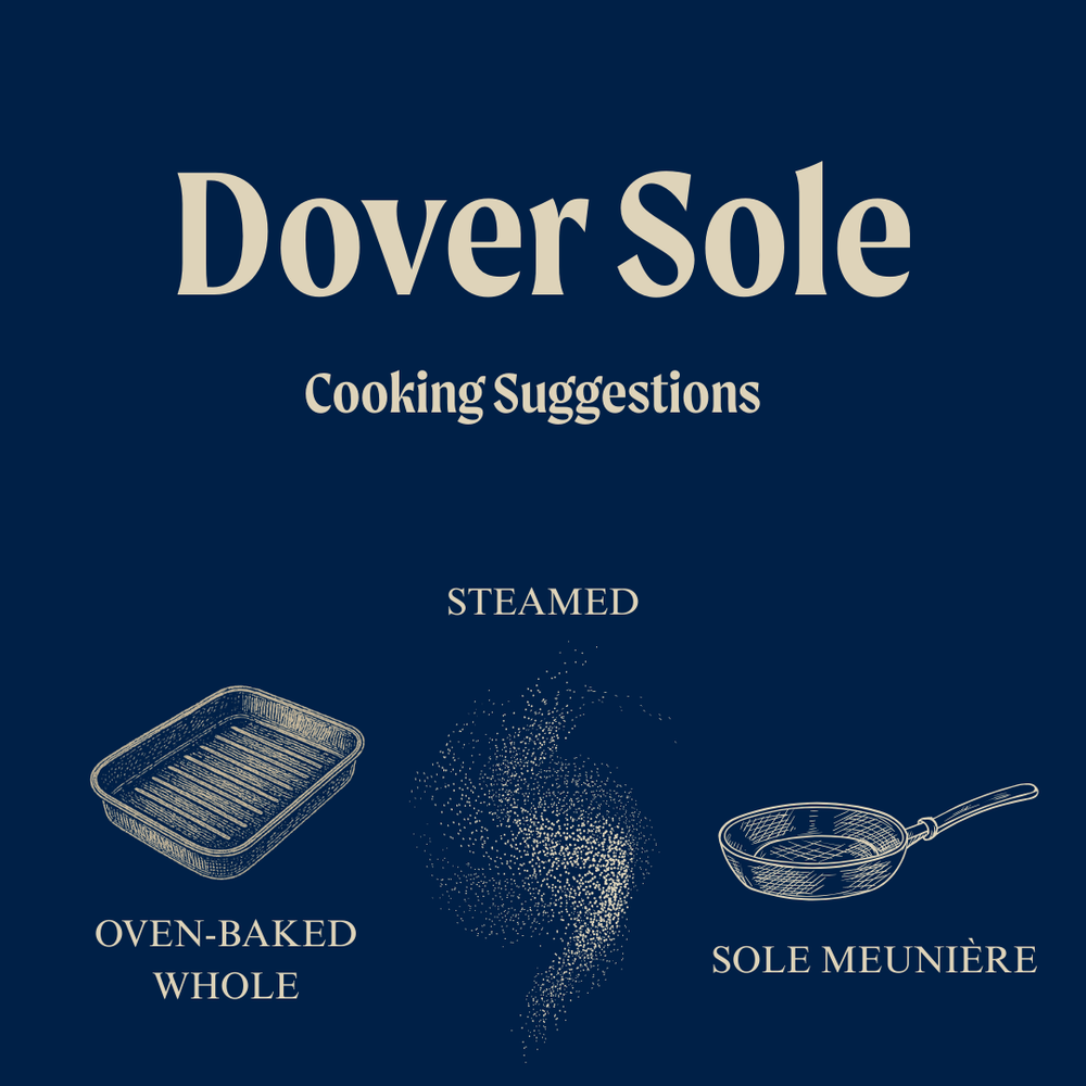Wild British Dover Sole Fillet