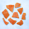 Icelandic Arctic Char Misshapes