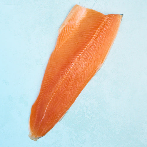 Arctic Char Fillet