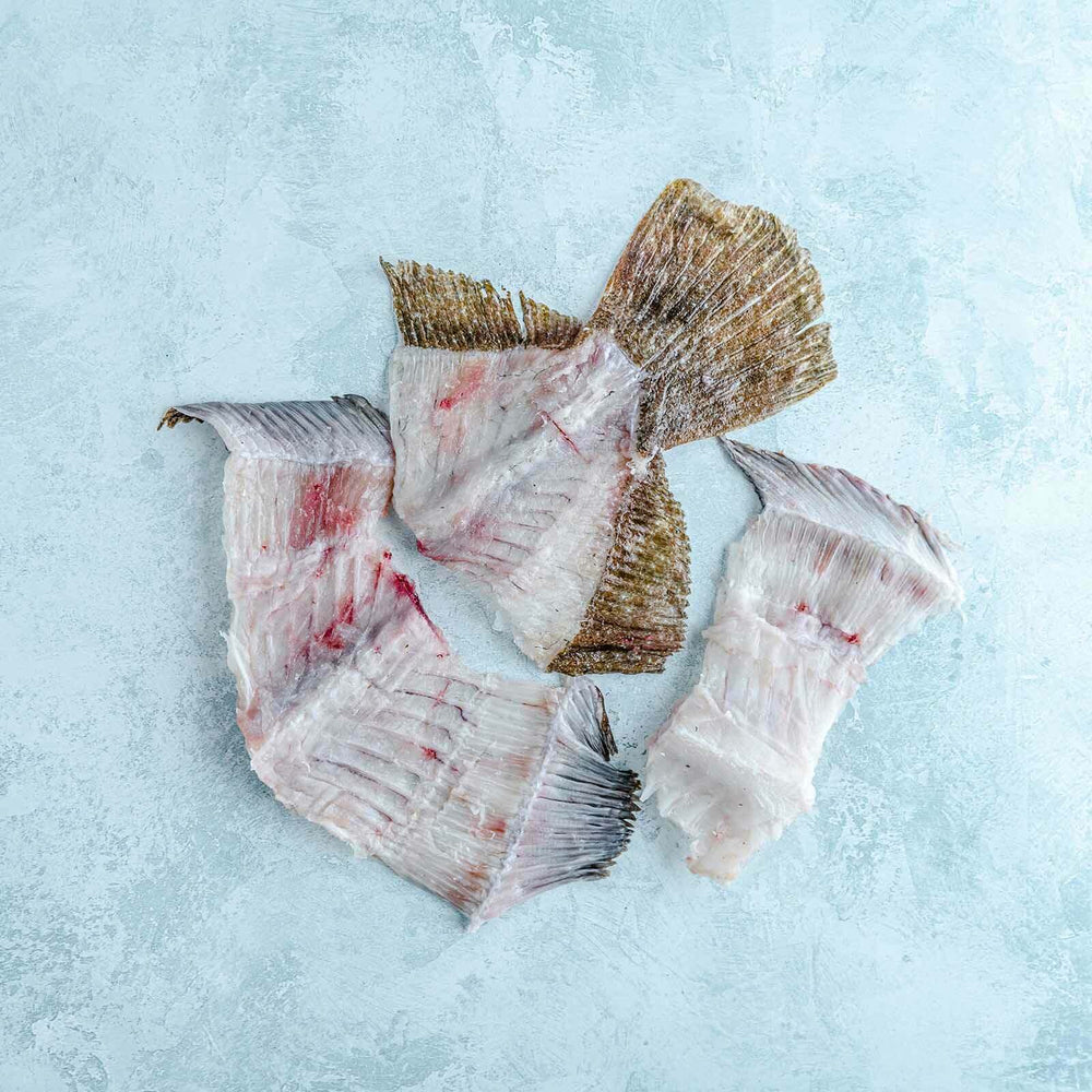 Buy Fish Bones Online Next Day Delivery The Fish Society buy-fish-bones-online-next-day-delivery-the-fish-society