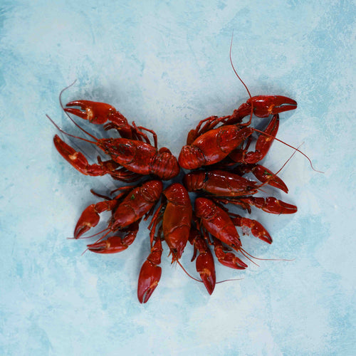 Spanish Crayfish in Dill Brine