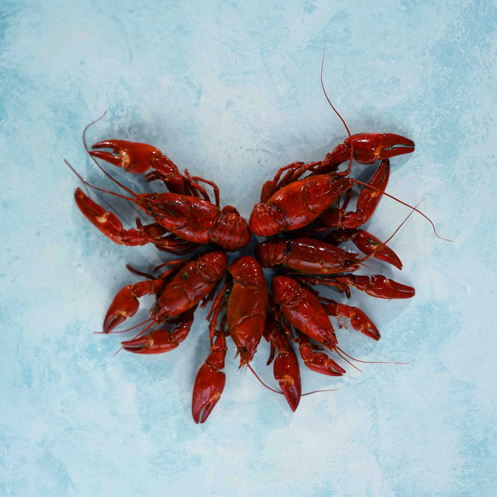 Crayfish in dill brine