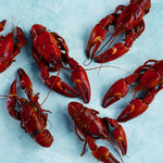 Crayfish in dill brine