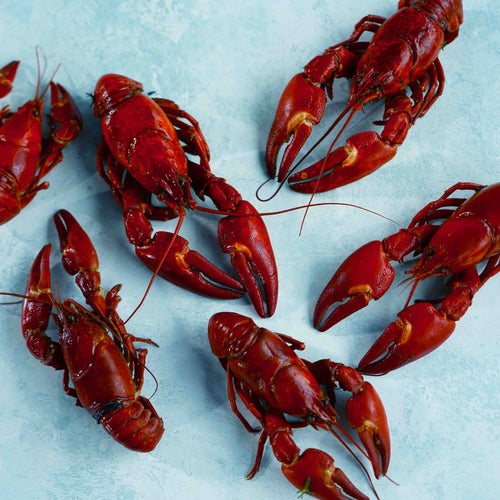 Spanish Crayfish in Dill Brine